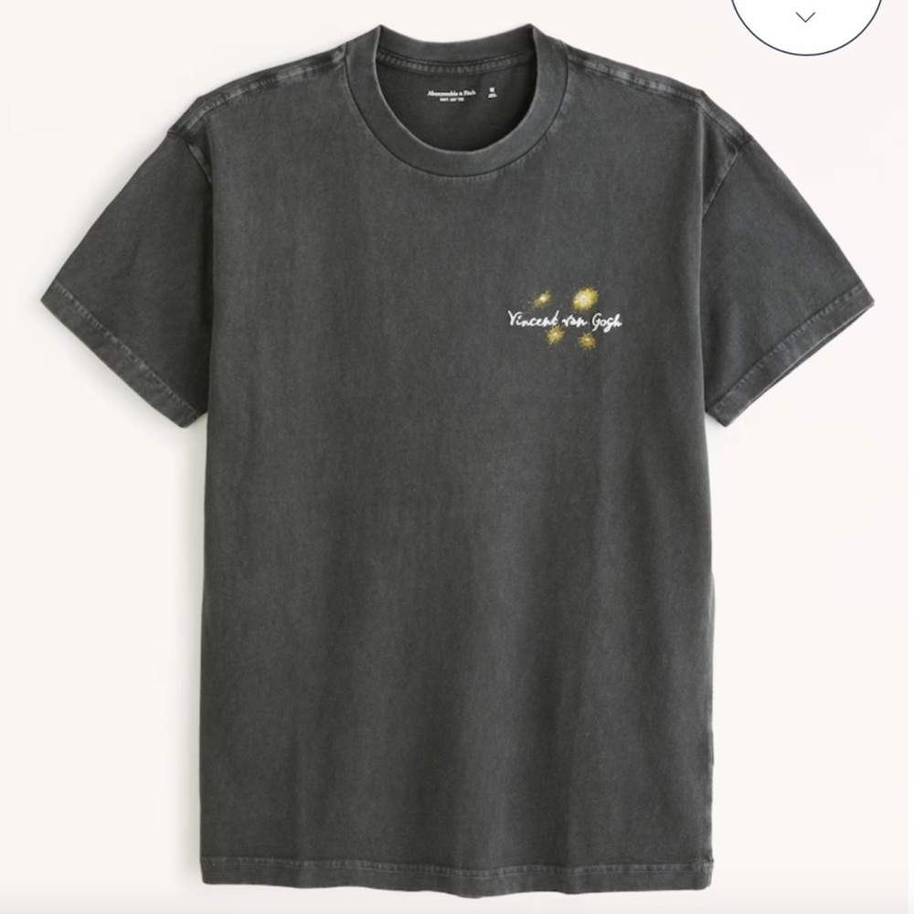 Abercrombie & Fitch Men’s Gray Van Gogh Graphic Tee - Picture 7 of 15